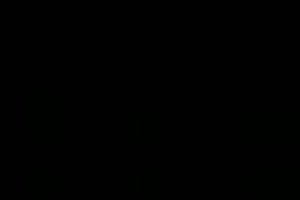 ინდონეზია ერთად