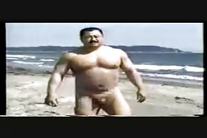 იაპონელი დათვი nude beach შინაური